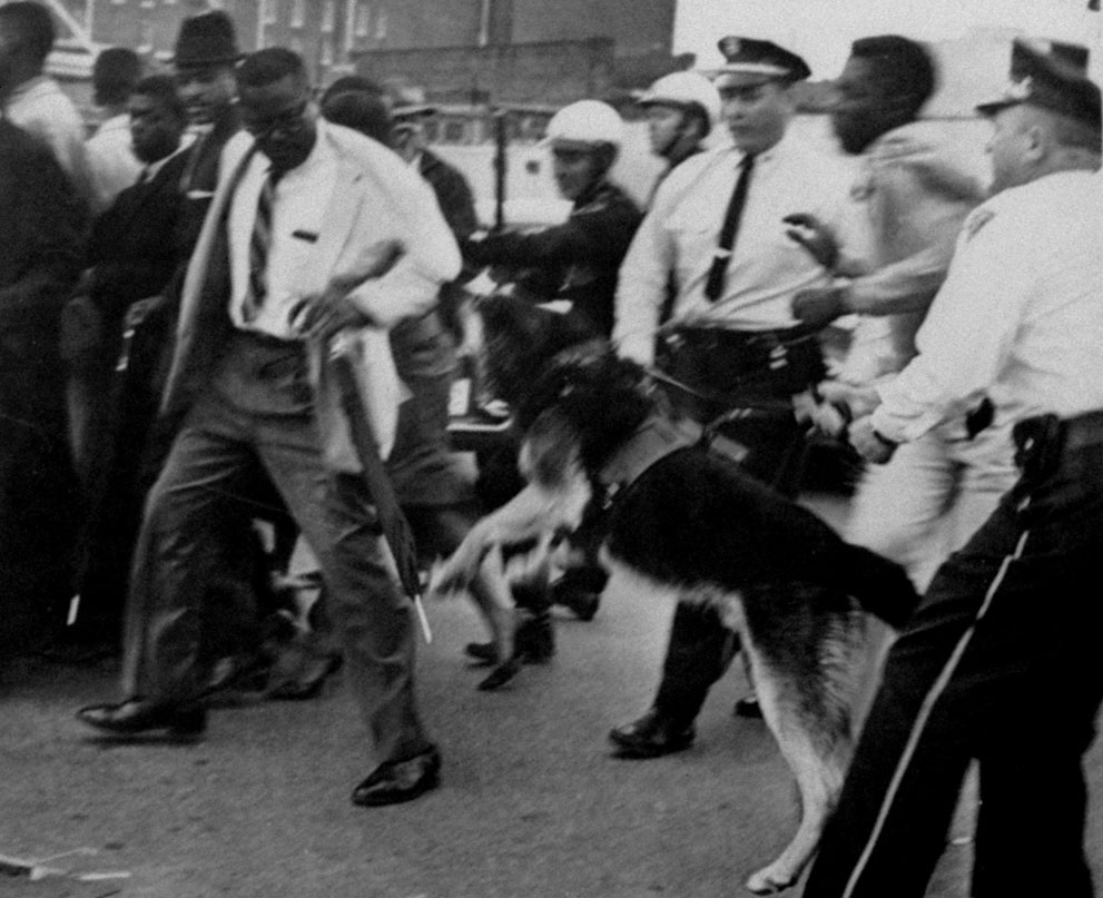 Собака полицейского нападает на негра, который протестует против  расовой дискриминации