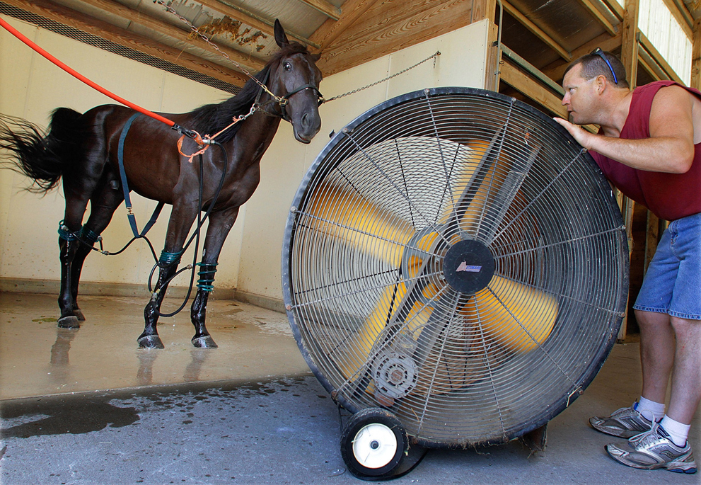Даже лошадям жарко . Их охлаждают при помощи вентилятора. Спрингфилд, штат Иллинойс, США.