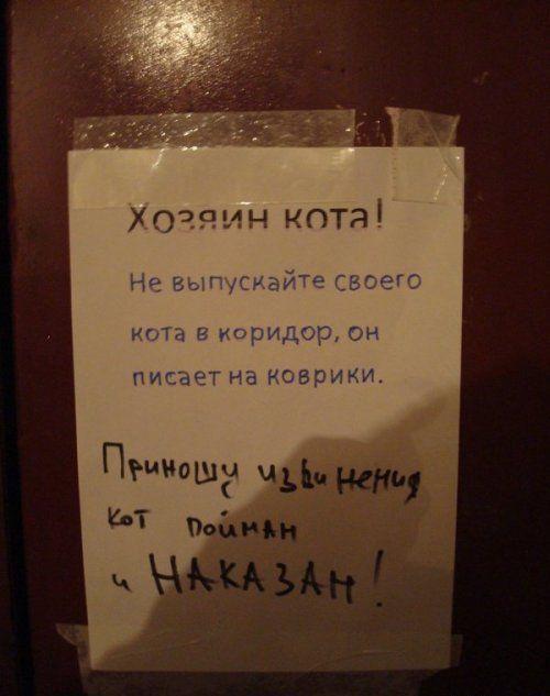 Запреты