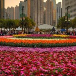 Фестиваль цветов в Гонконге