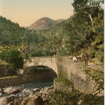  Мадейра в конце XIX века