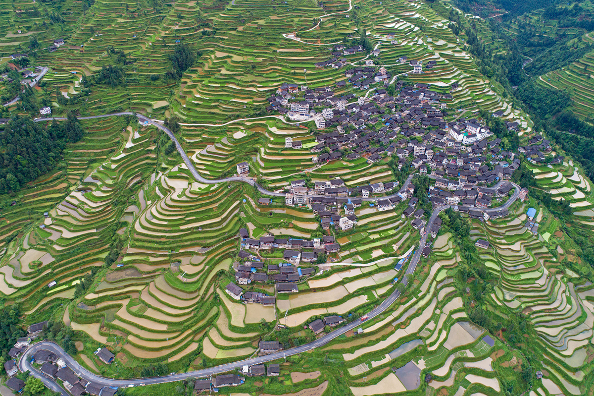 Вид с воздуха на террасные поля, на горе Лейгуншань, в Цяньдуннань, провинция Гуйчжоу. Китай.