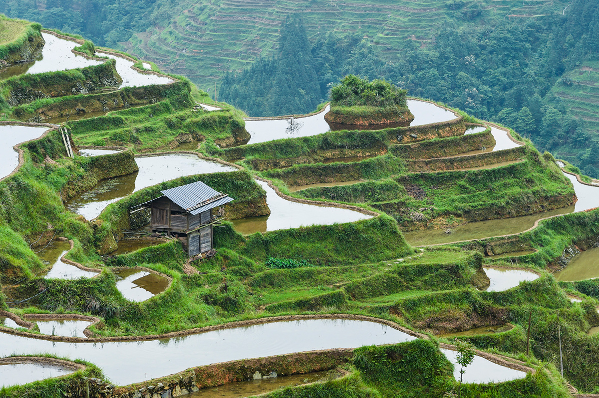 Вид с воздуха на террасные поля в поселке Цзяпуан.