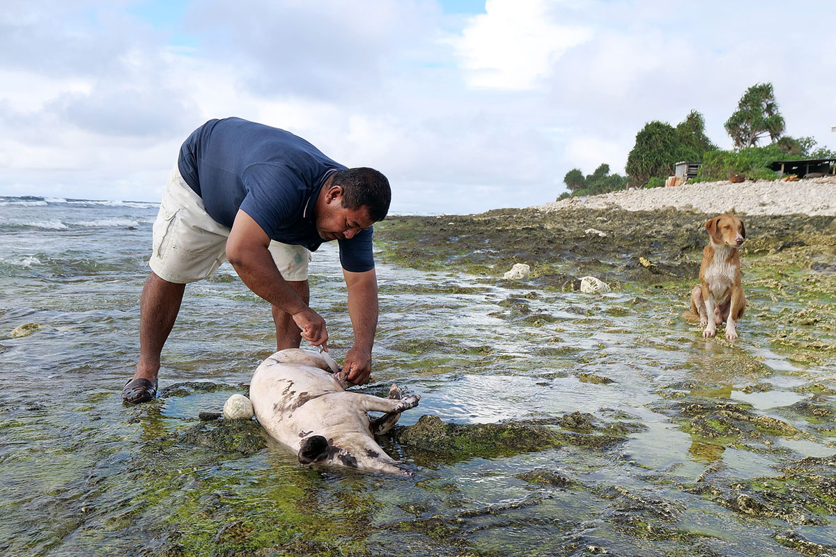 Тувалу - жизнь на краю Тихого океана