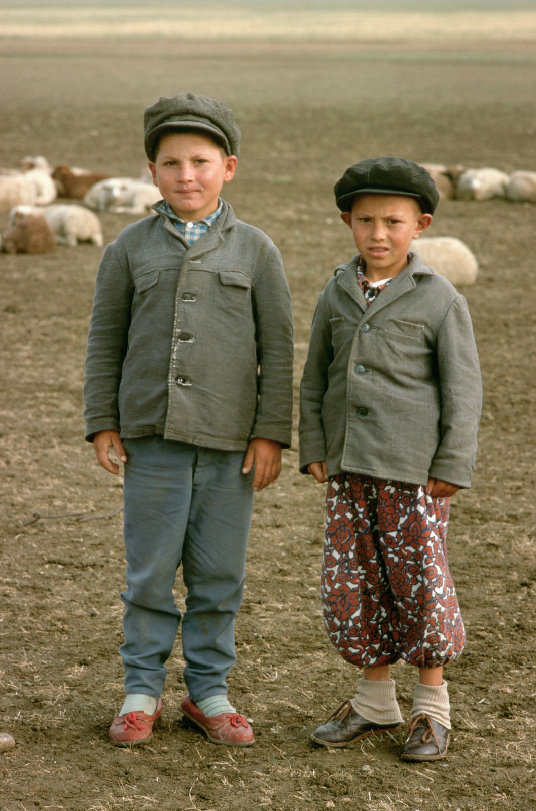 Кавказ в 1967 году