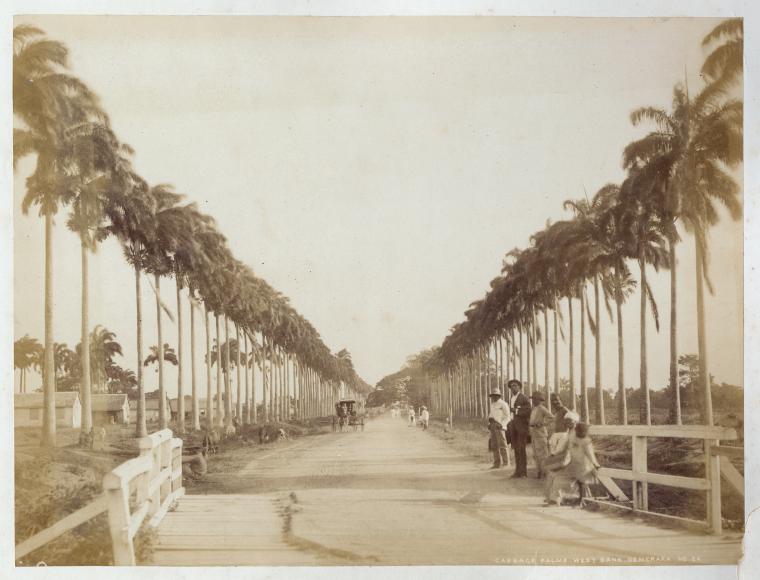 Британская Гайана в 1900 году