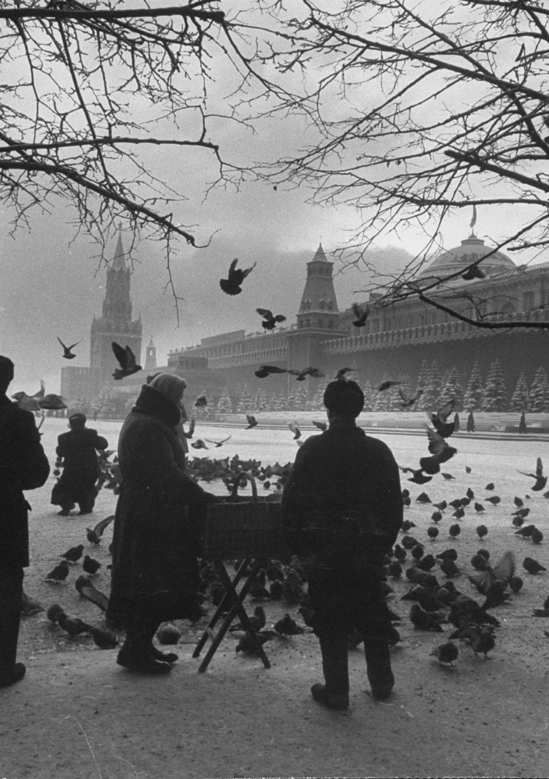 1959 год. Карл Миданс в Москве и Ленинграде.