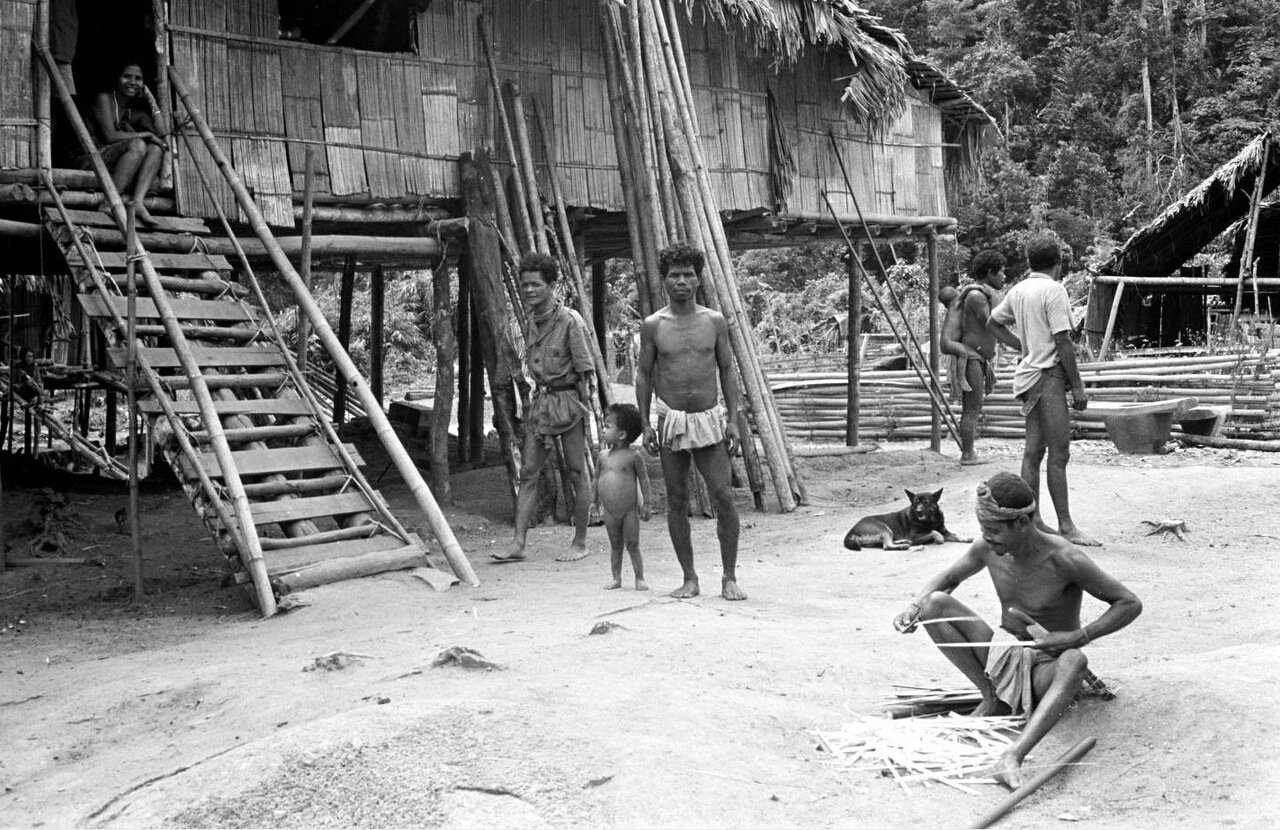 Народность семанги Малайзии. 1950 год.