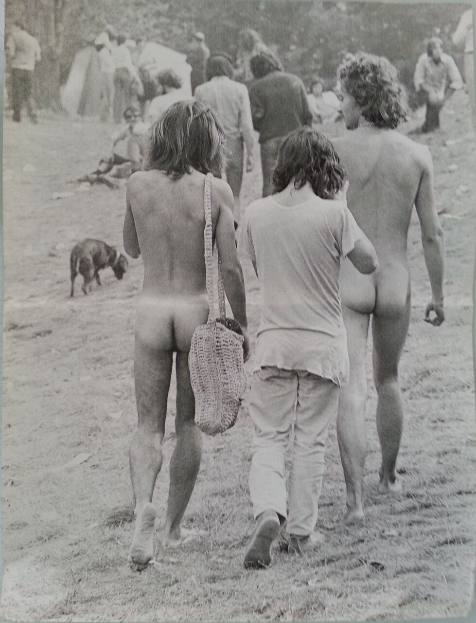 Поп-фестиваль молодёжи в итальянском Балабио. 25-26 сентября 1971 года.
