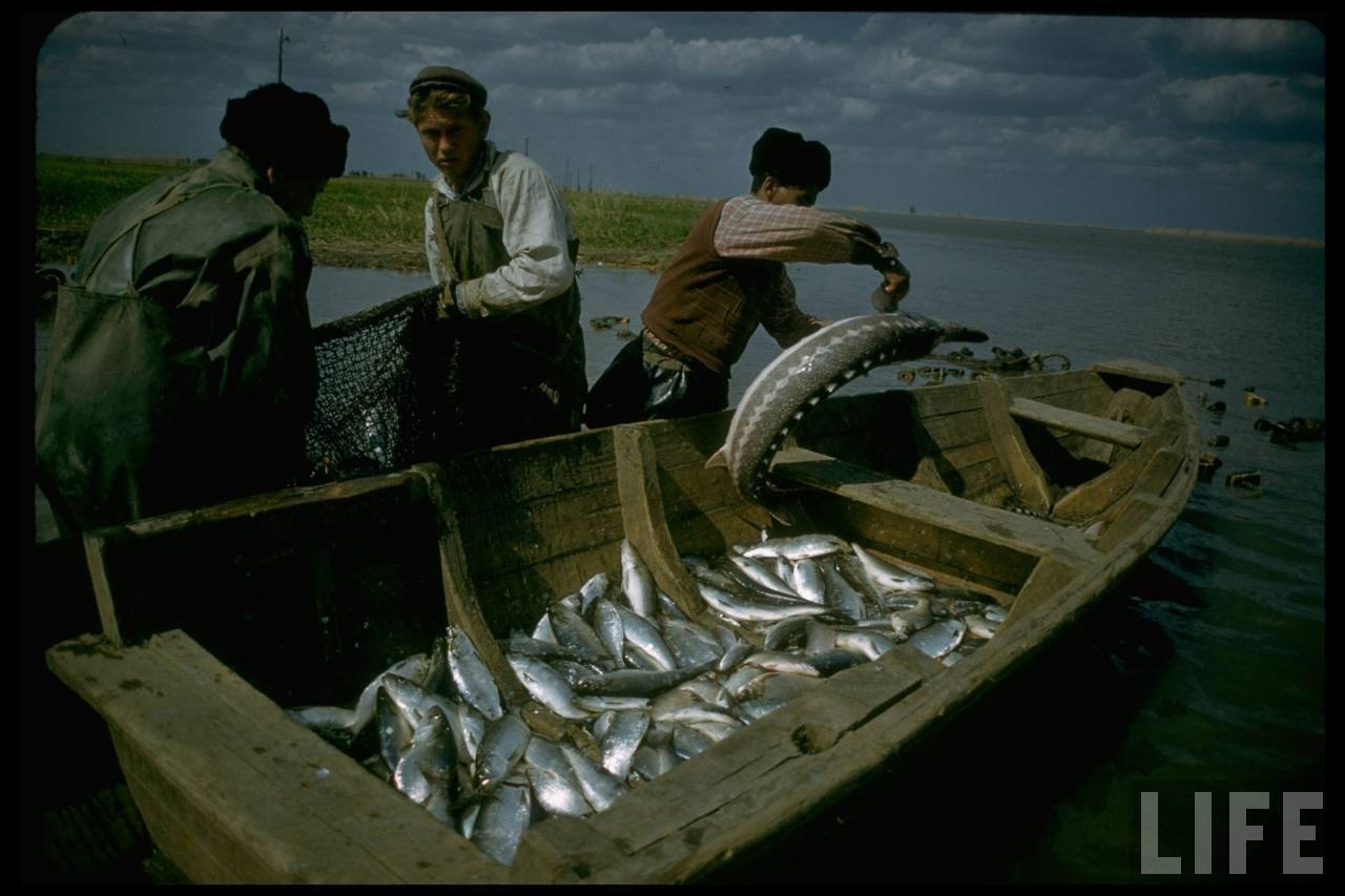 Волга река Астрахань рыбный промысел