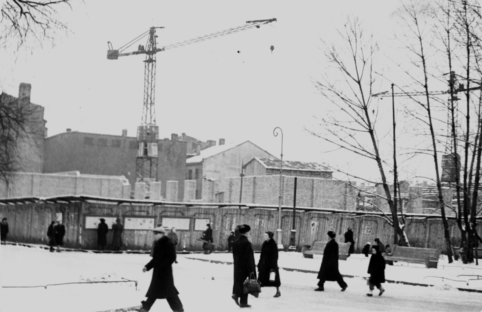 Ленинград и ленинградцы в 1959 году